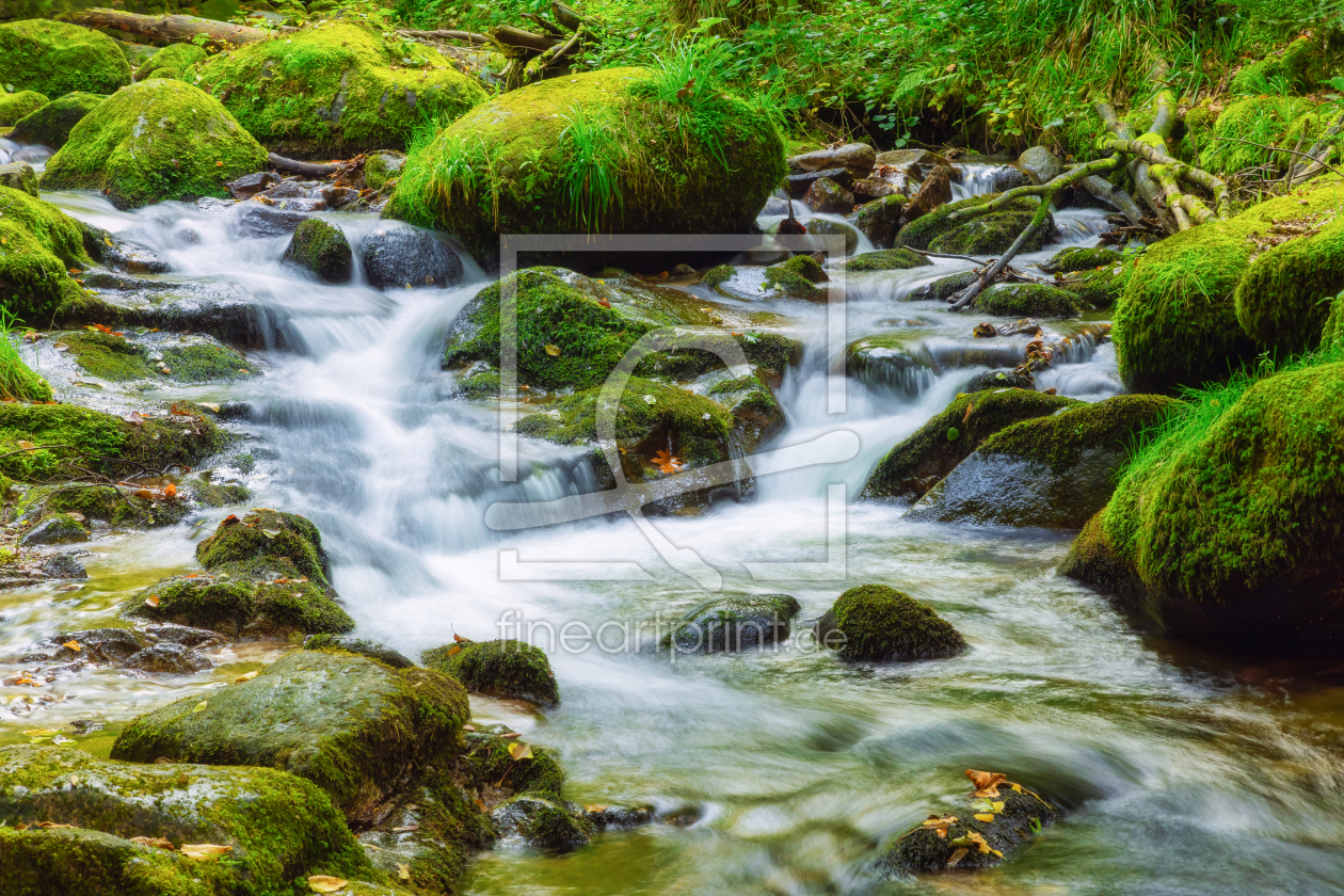 Bild-Nr.: 12923420 Geroldsauer Wasserfall - Schwarzwald erstellt von uh-Photography