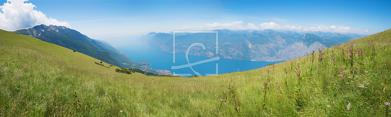 Bild-Nr.: 12923598 Wiese mit Türkenbundlilien am Monte Baldo Gardasee erstellt von SusaZoom