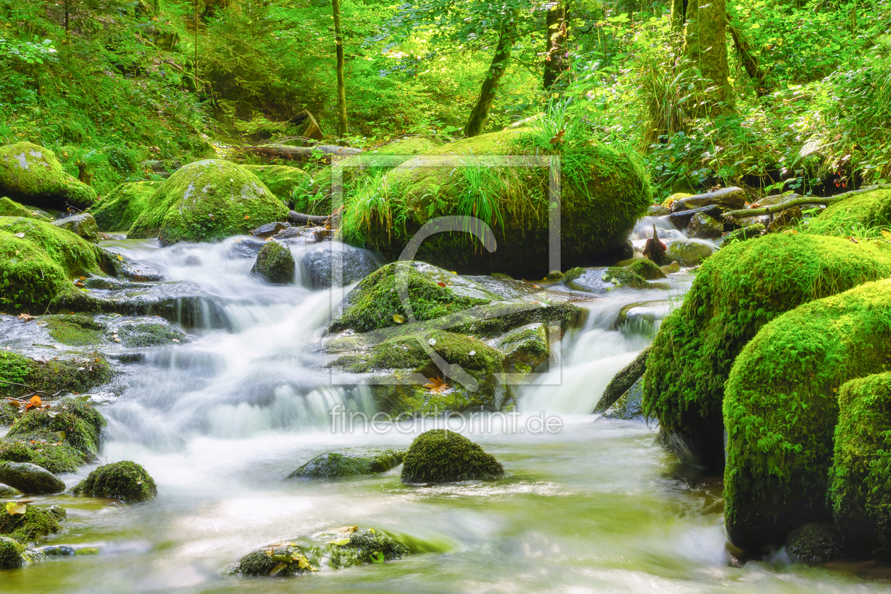 Bild-Nr.: 12924318 Geroldsauer Wasserfall - Schwarzwald erstellt von uh-Photography