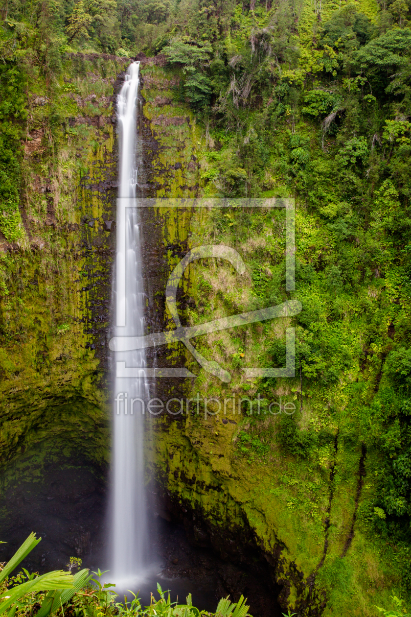 Bild-Nr.: 12924342 Akaka Falls auf Hawaii erstellt von DirkR