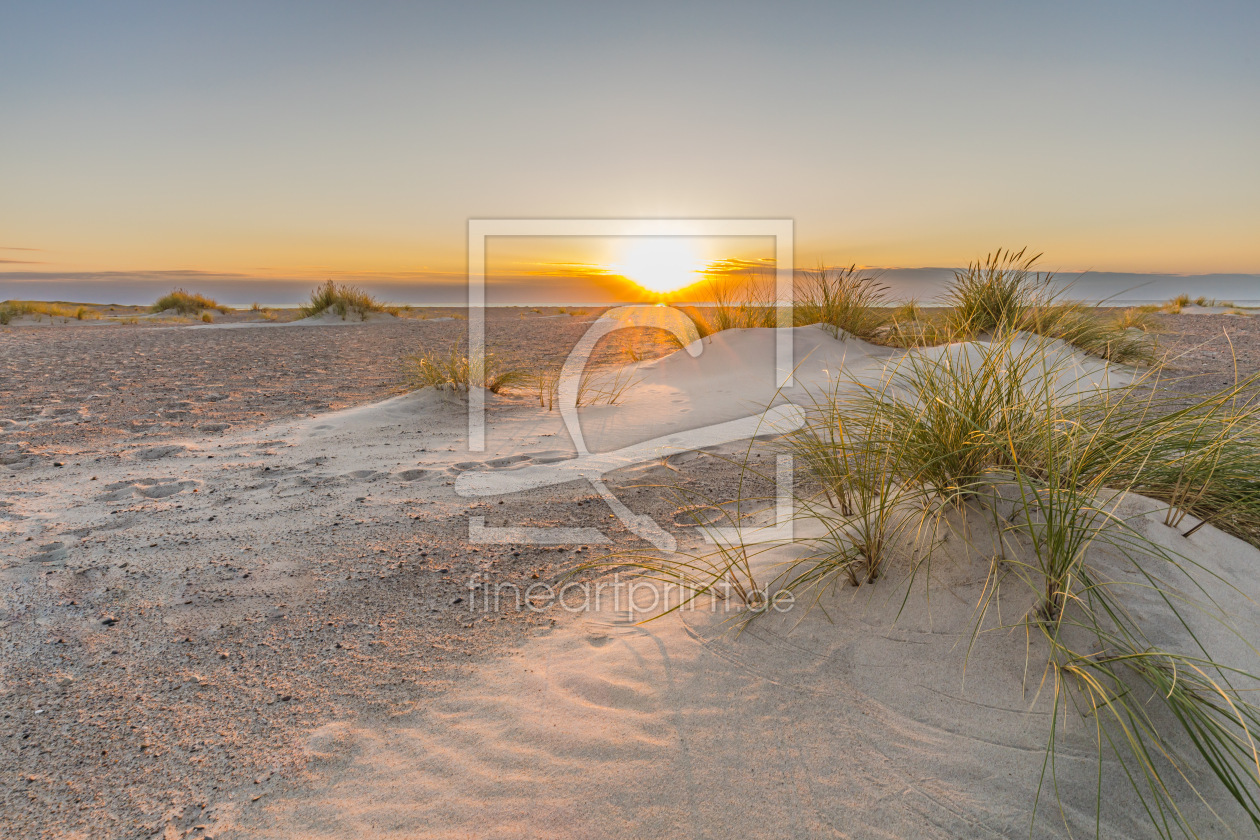 Bild-Nr.: 12925774 Stranddünen im Sonnenschein erstellt von Ursula Reins