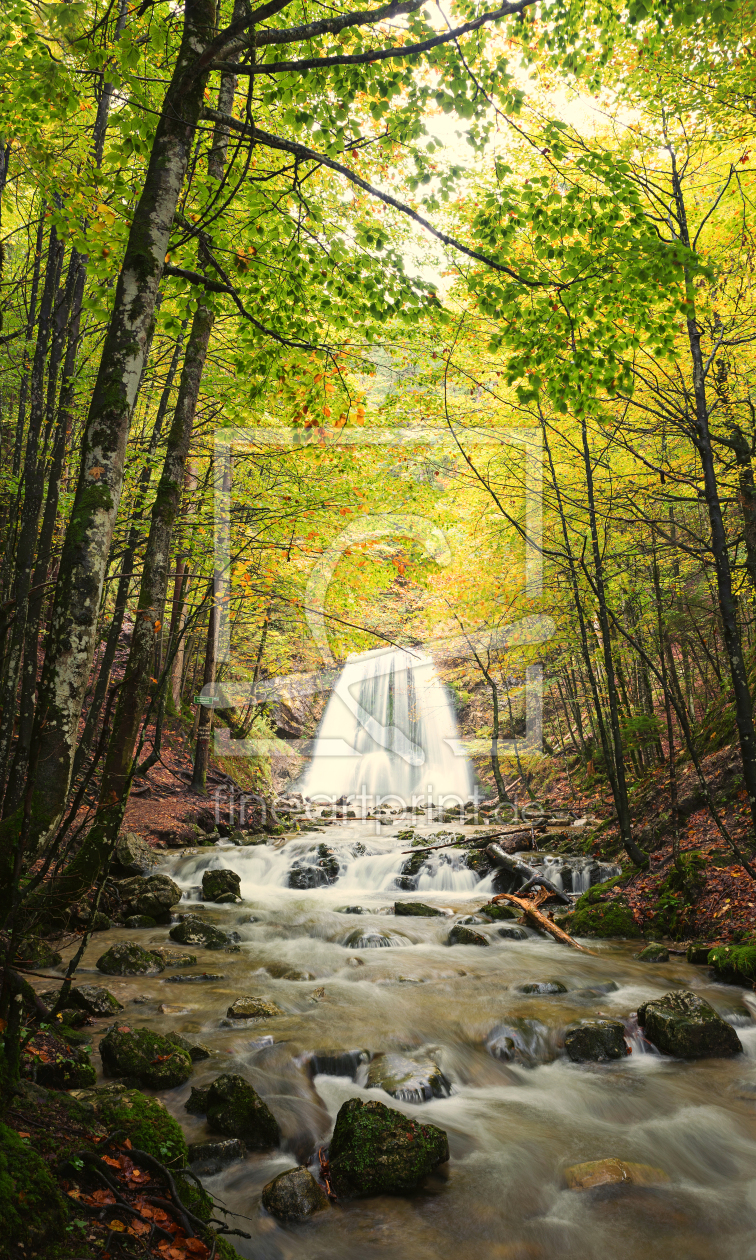 Bild-Nr.: 12928586 Josefsthaler Wasserfall Schliersee im Herbst erstellt von SusaZoom