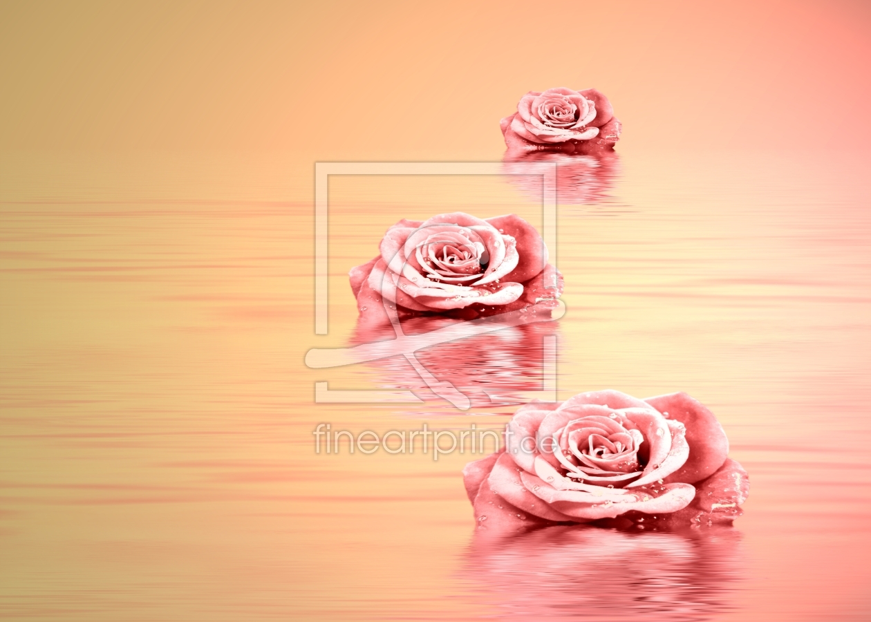 Bild-Nr.: 12929216 Traum in Rosa erstellt von Martina Fornal