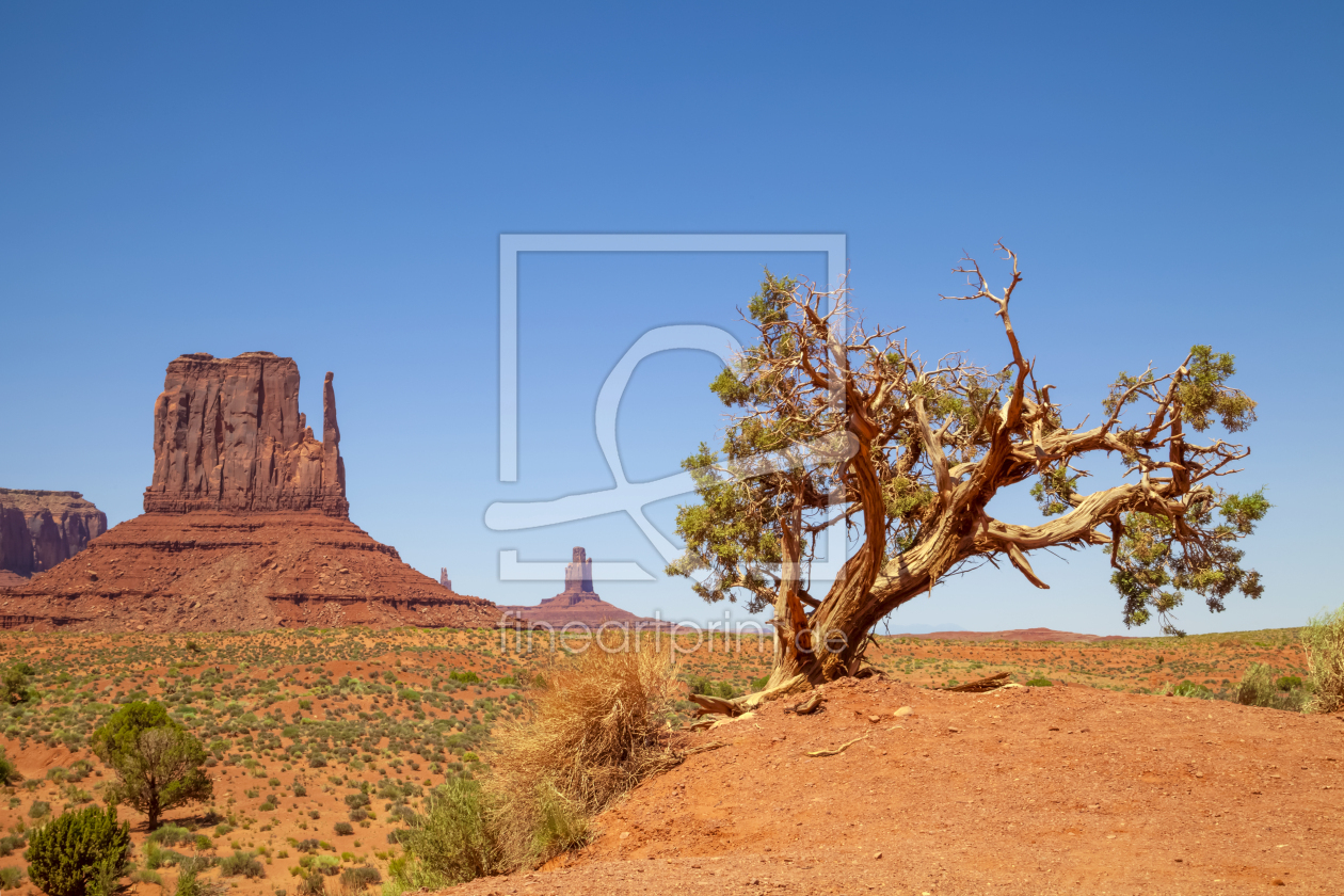 Bild-Nr.: 12930973 MONUMENT VALLEY West Mitten Butte erstellt von Melanie Viola