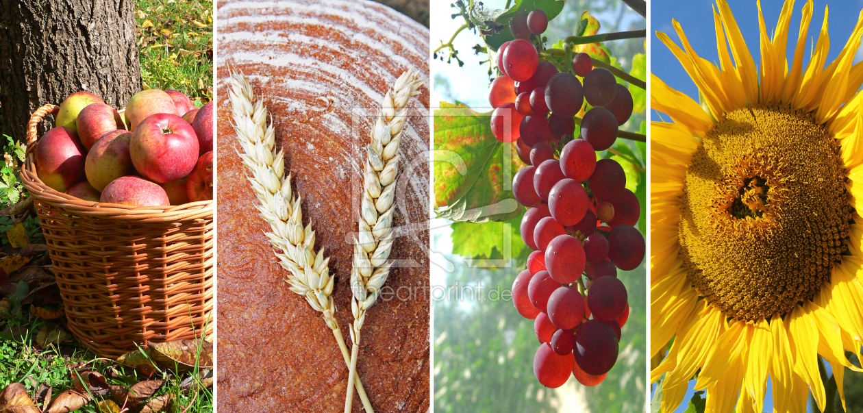 Bild-Nr.: 12934172 Herbstquartett erstellt von SusaZoom