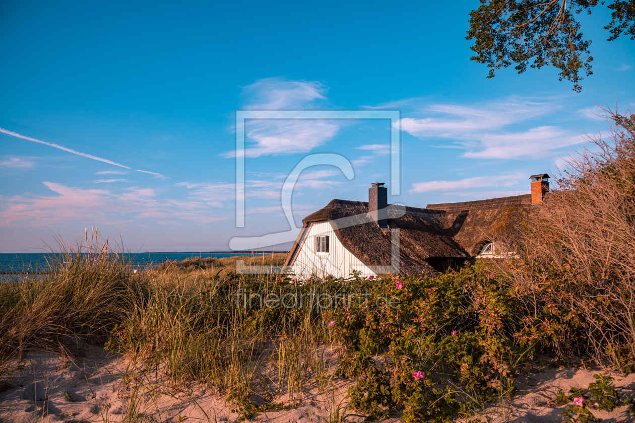 Bild-Nr.: 12934940 Ahrenshoop erstellt von Steffen Gierok