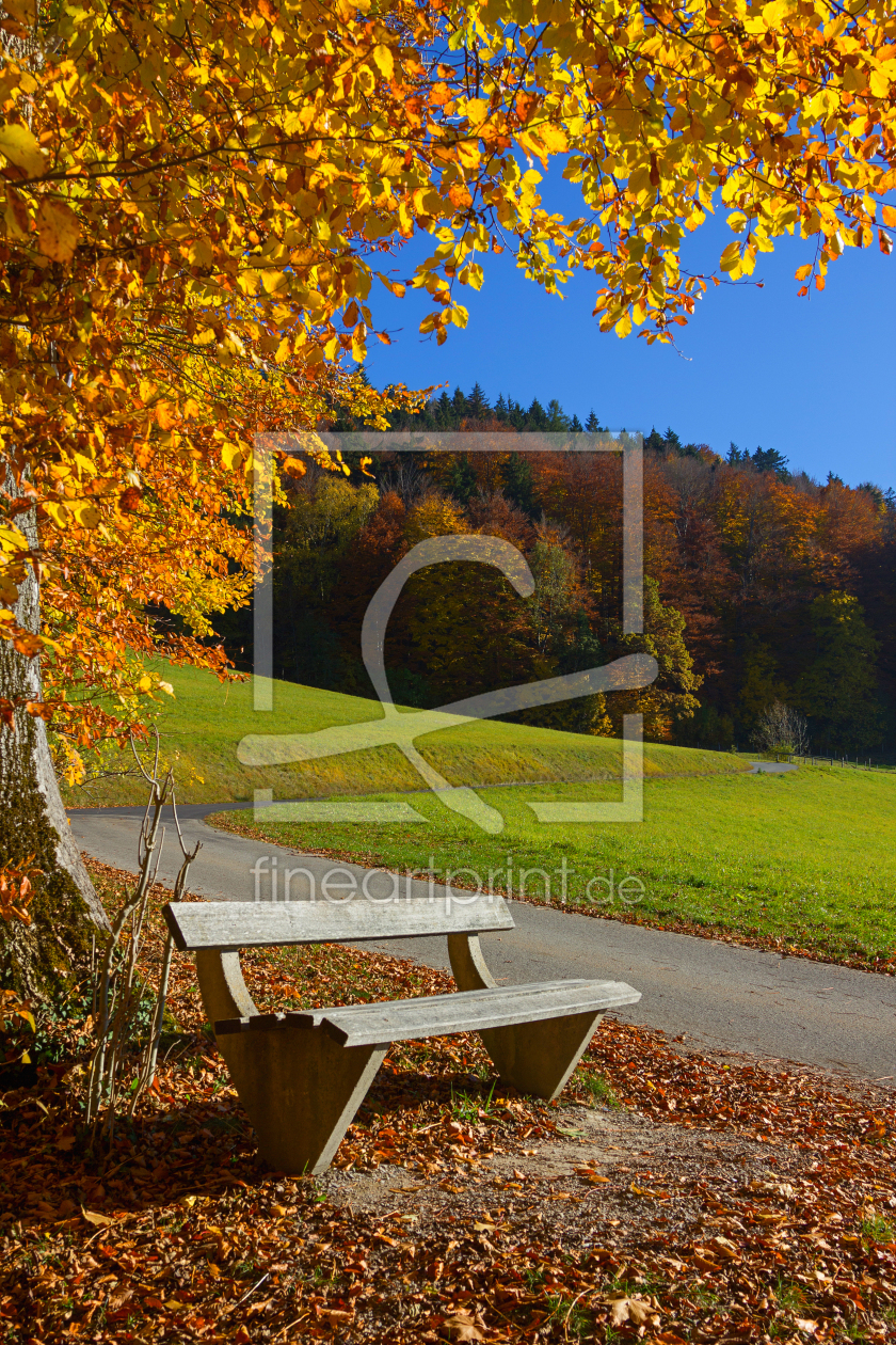 Bild-Nr.: 12935260 Herbstliche Rast erstellt von SusaZoom