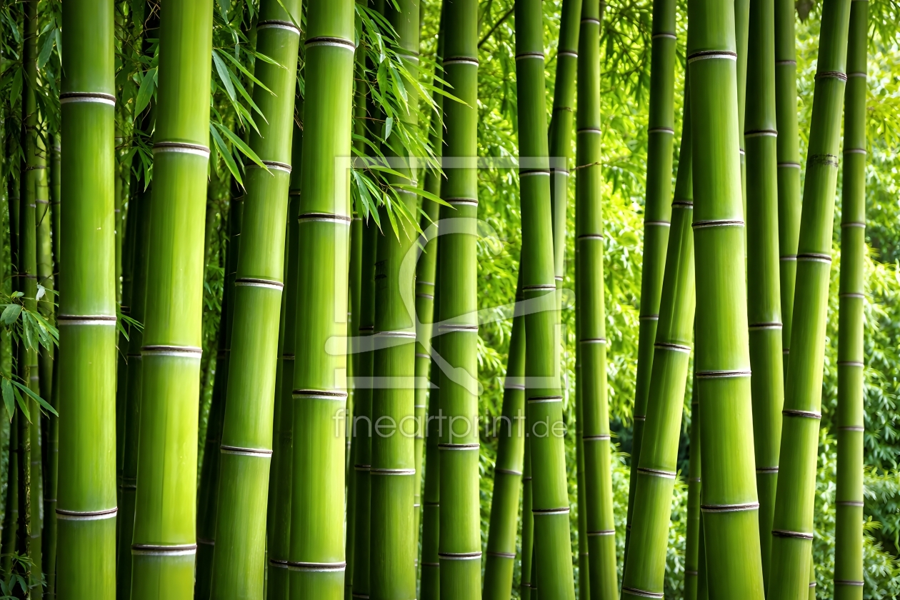 Bild-Nr.: 12935751 Bambus KI erstellt von gabii40