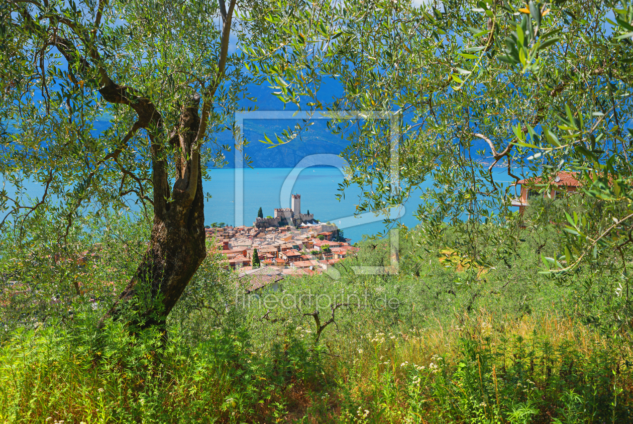 Bild-Nr.: 12936842 Blick vom Olivenhain auf Malcesine erstellt von SusaZoom