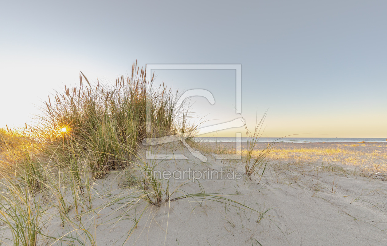Bild-Nr.: 12936889 Sonne im Strandhafer erstellt von Ursula Reins