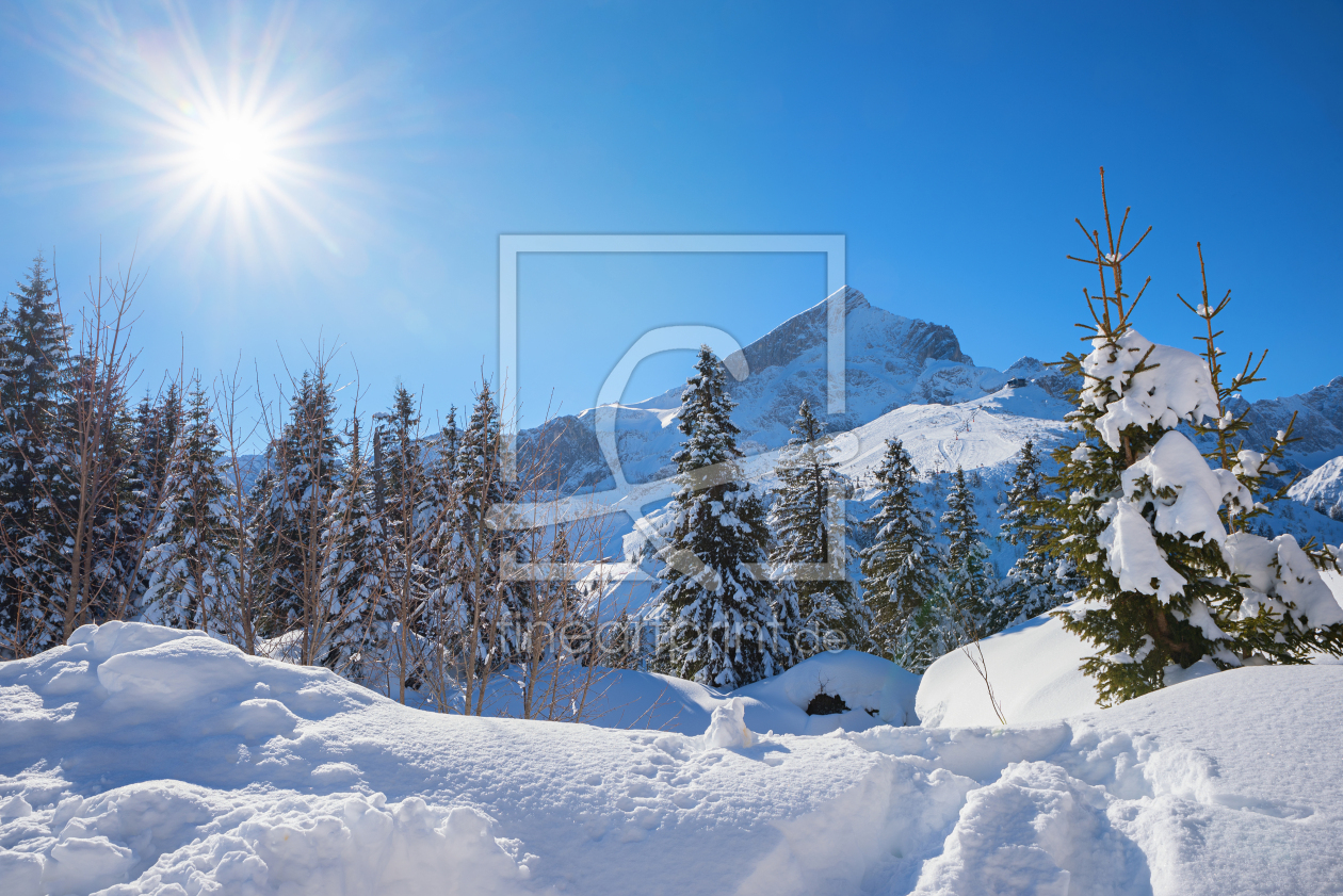 Bild-Nr.: 12937441 Winterwald und Alpspitze erstellt von SusaZoom