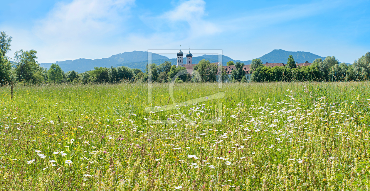 Bild-Nr.: 12937705 Wildblumenwiese Kloster Benediktbeuern Bayern erstellt von SusaZoom