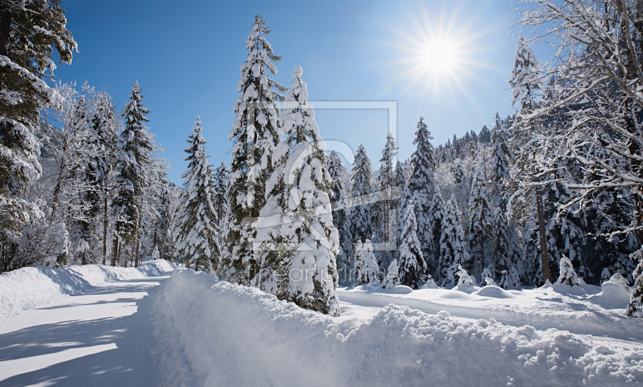 Bild-Nr.: 12937837 Straße im Winterwald erstellt von SusaZoom