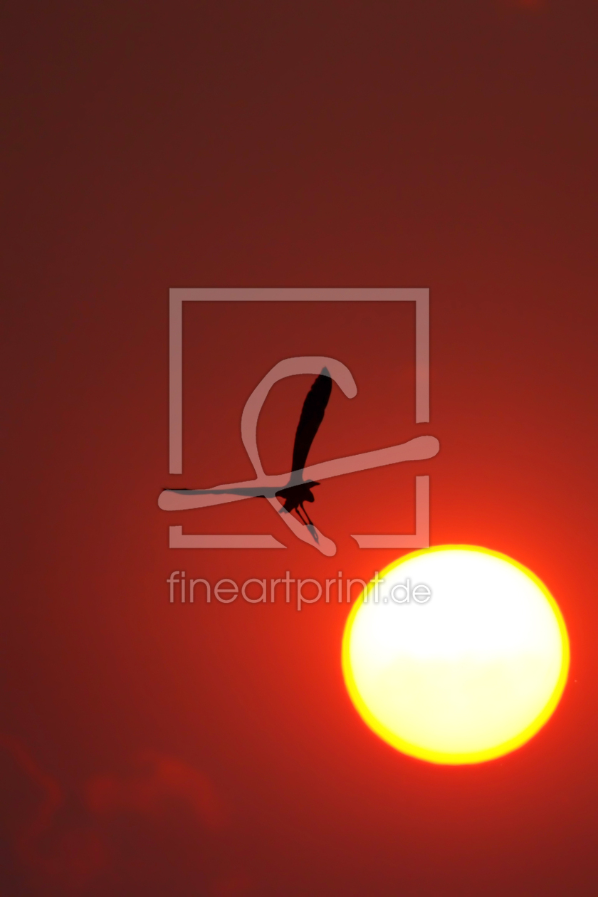 Bild-Nr.: 12937963 Sonnenuntergang im Okavango Delta erstellt von DirkR