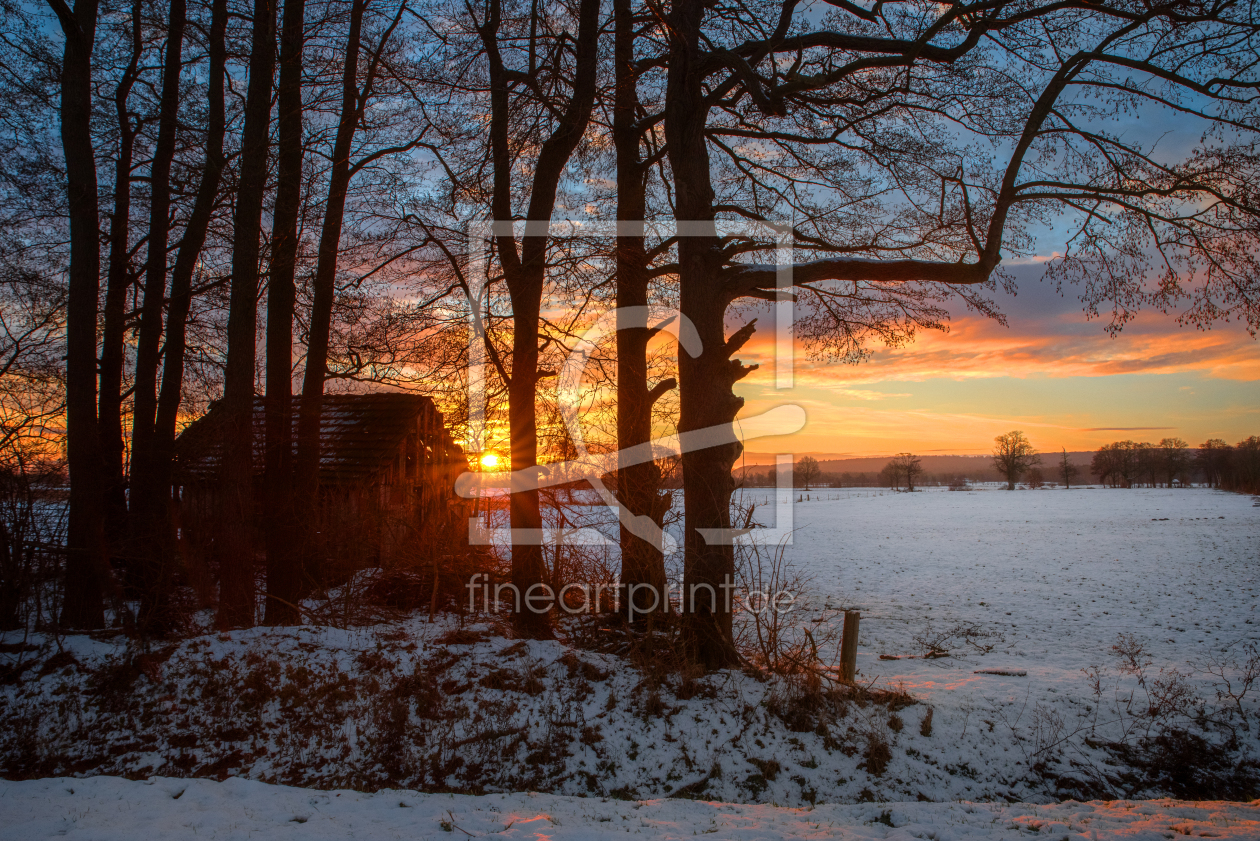 Bild-Nr.: 12938129 Winter Sunrise Behind the Trees erstellt von Tanja Riedel
