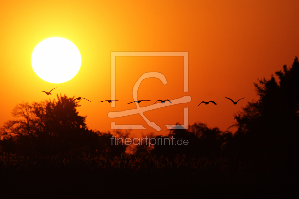 Bild-Nr.: 12938581 Sonnenuntergang im Okavango Delta erstellt von DirkR