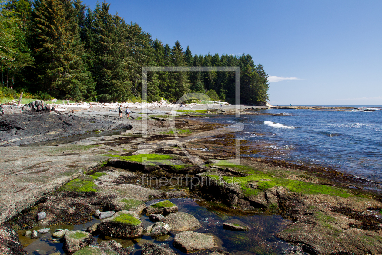Bild-Nr.: 12938586 Botanical Beach auf Vancouver Island erstellt von DirkR