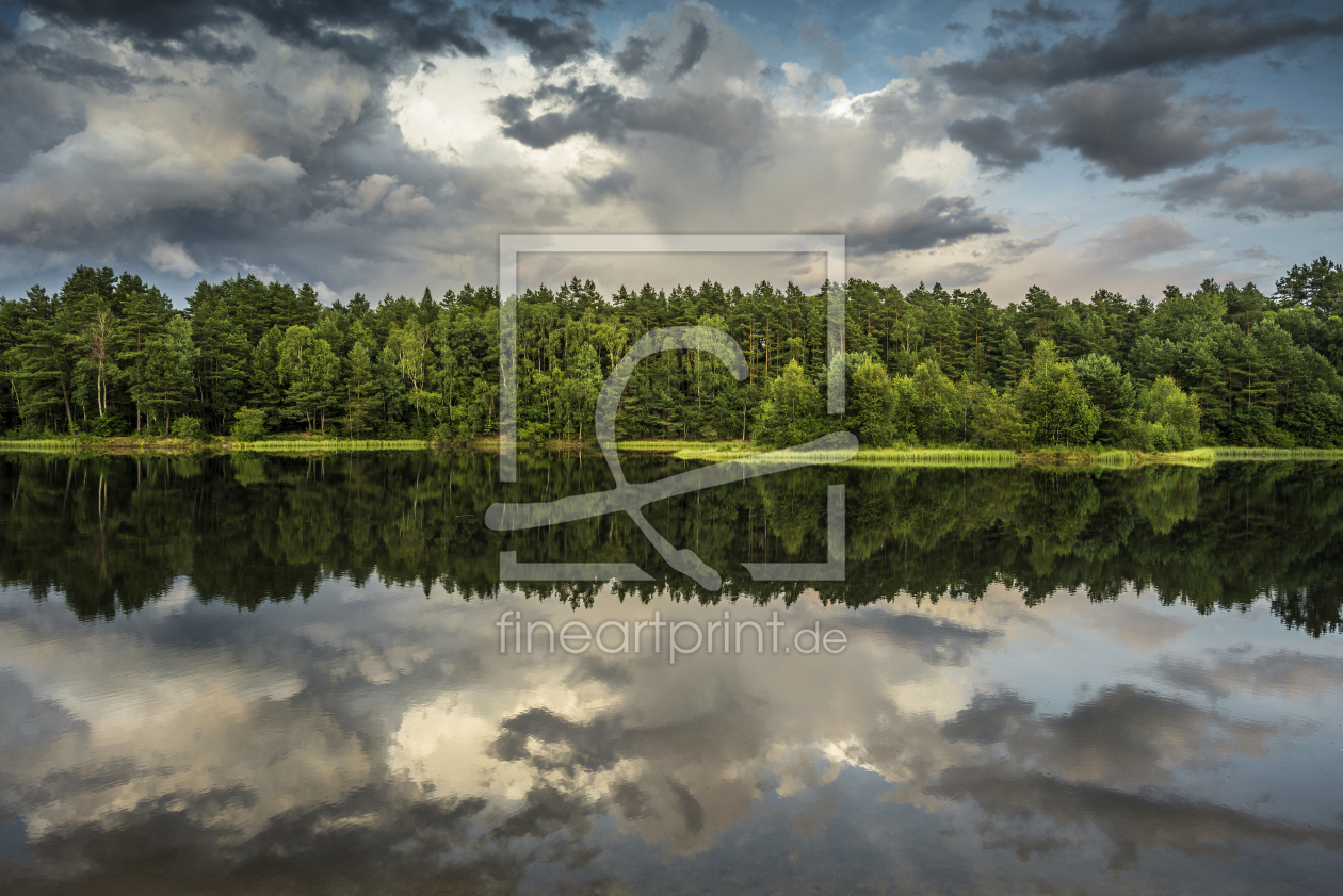 Bild-Nr.: 12939004 Heide 6 erstellt von danielschoenen