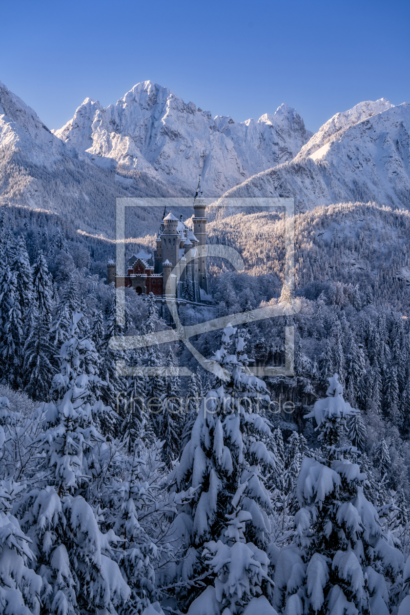Bild-Nr.: 12939477 Schloss Neuschwanstein im Winter erstellt von Achim Thomae