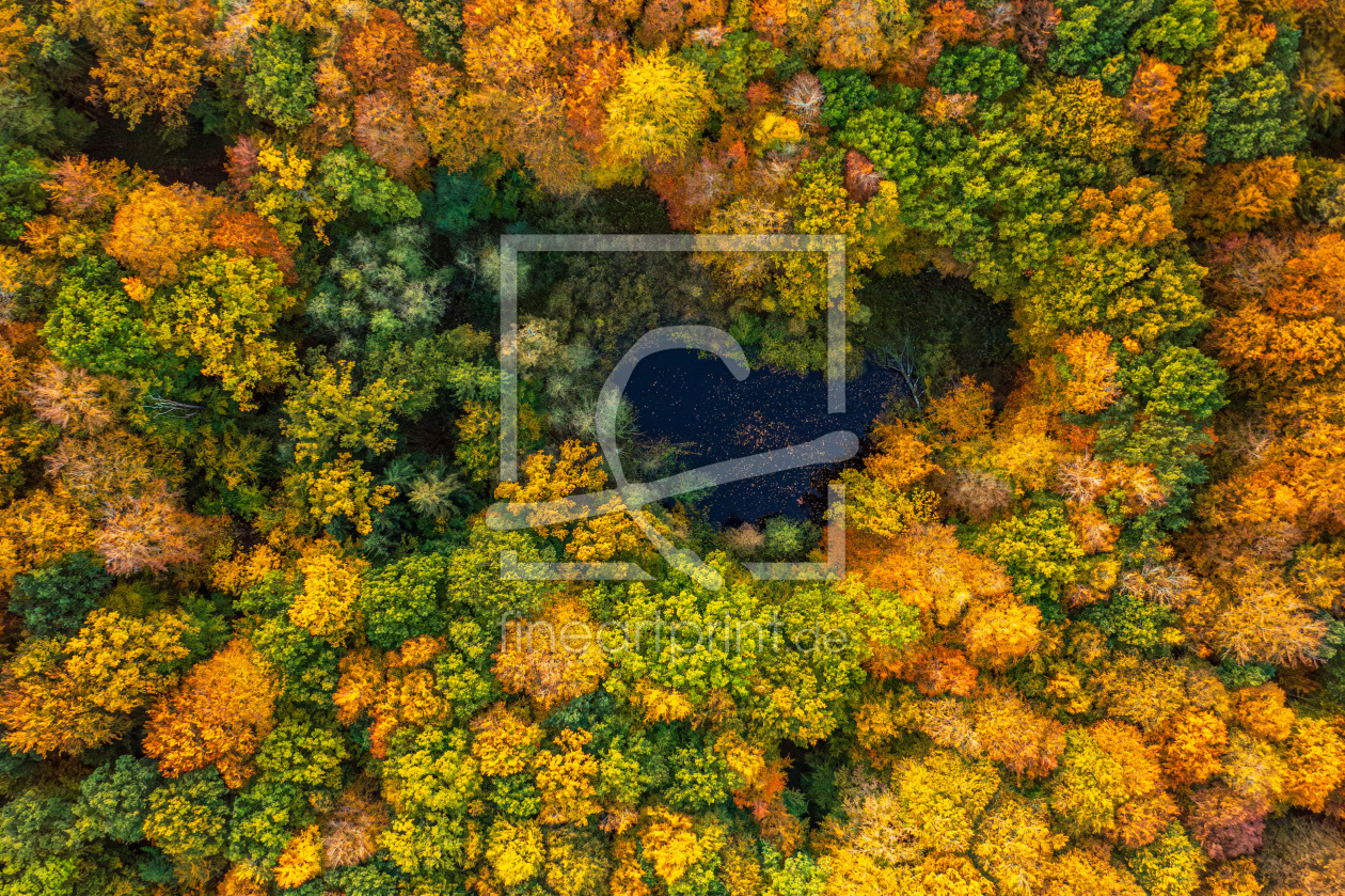 Bild-Nr.: 12939985 Herz im Herbstwald erstellt von Armin Redöhl