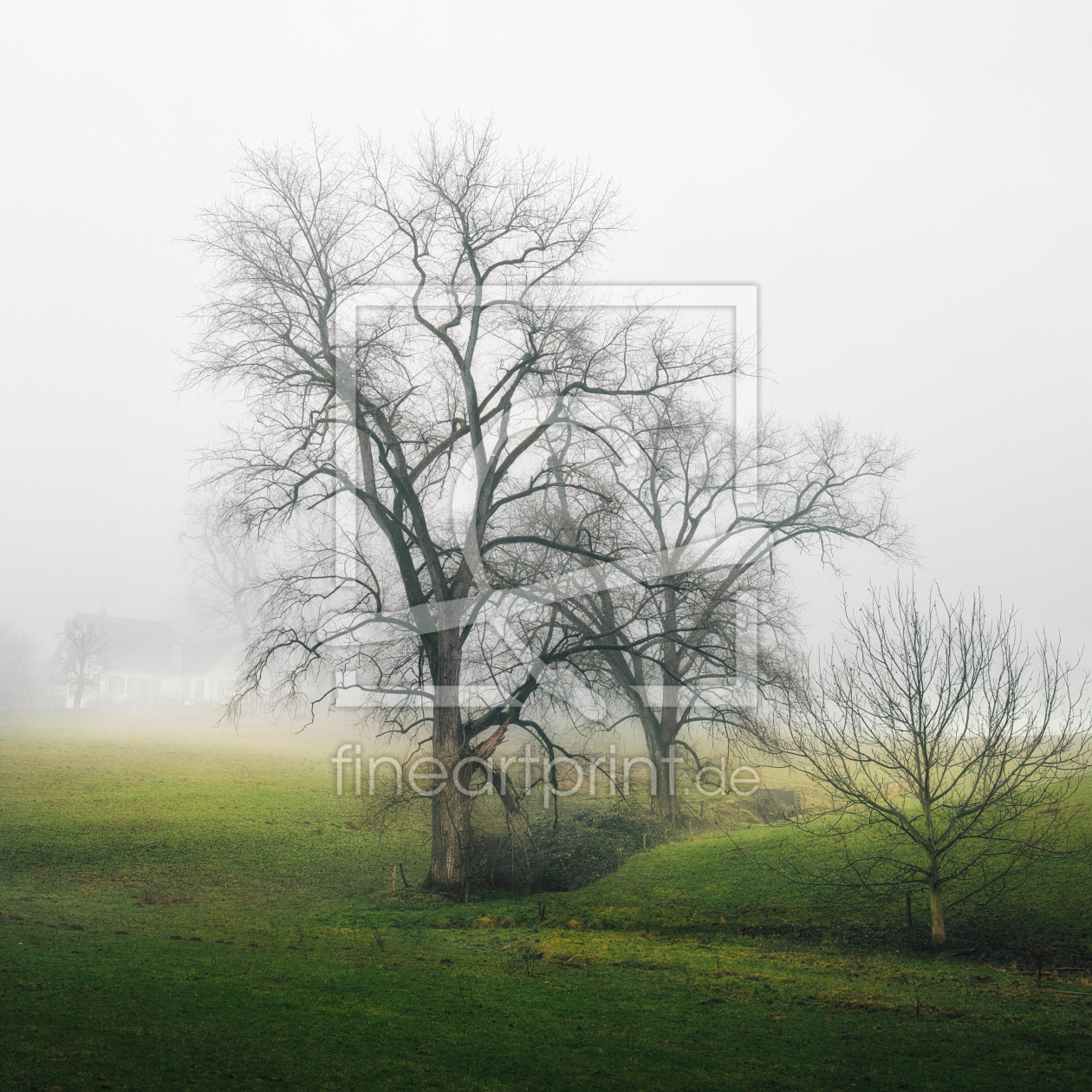 Bild-Nr.: 12940025 Verträumte Landschaft mit Bäumen im Nebel erstellt von Smileus