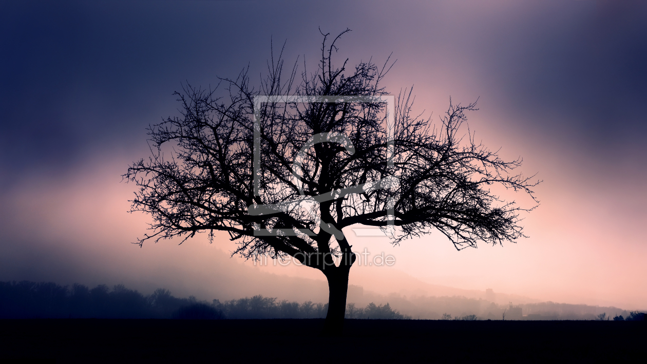 Bild-Nr.: 12940026 Silhouette von einsamen Baum vor violettem Himmel erstellt von Smileus