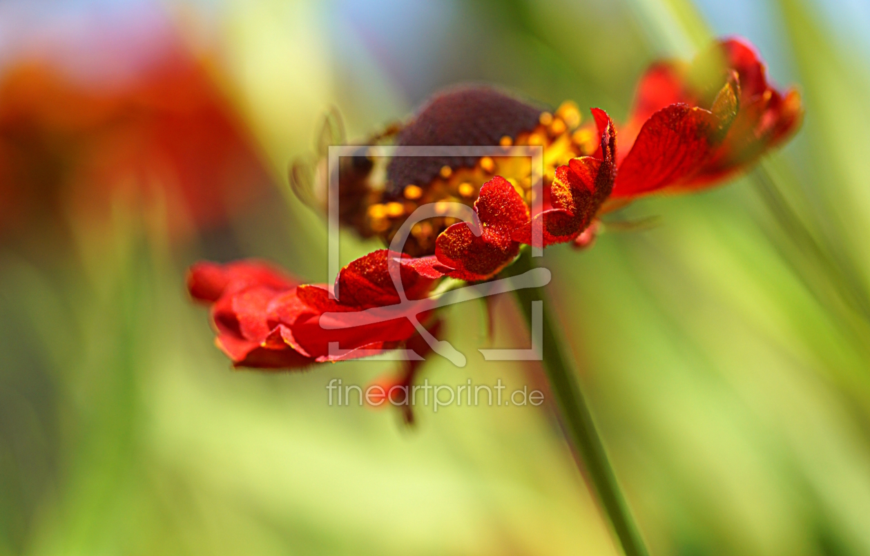 Bild-Nr.: 12940658 Summer feelings erstellt von youhaveadream