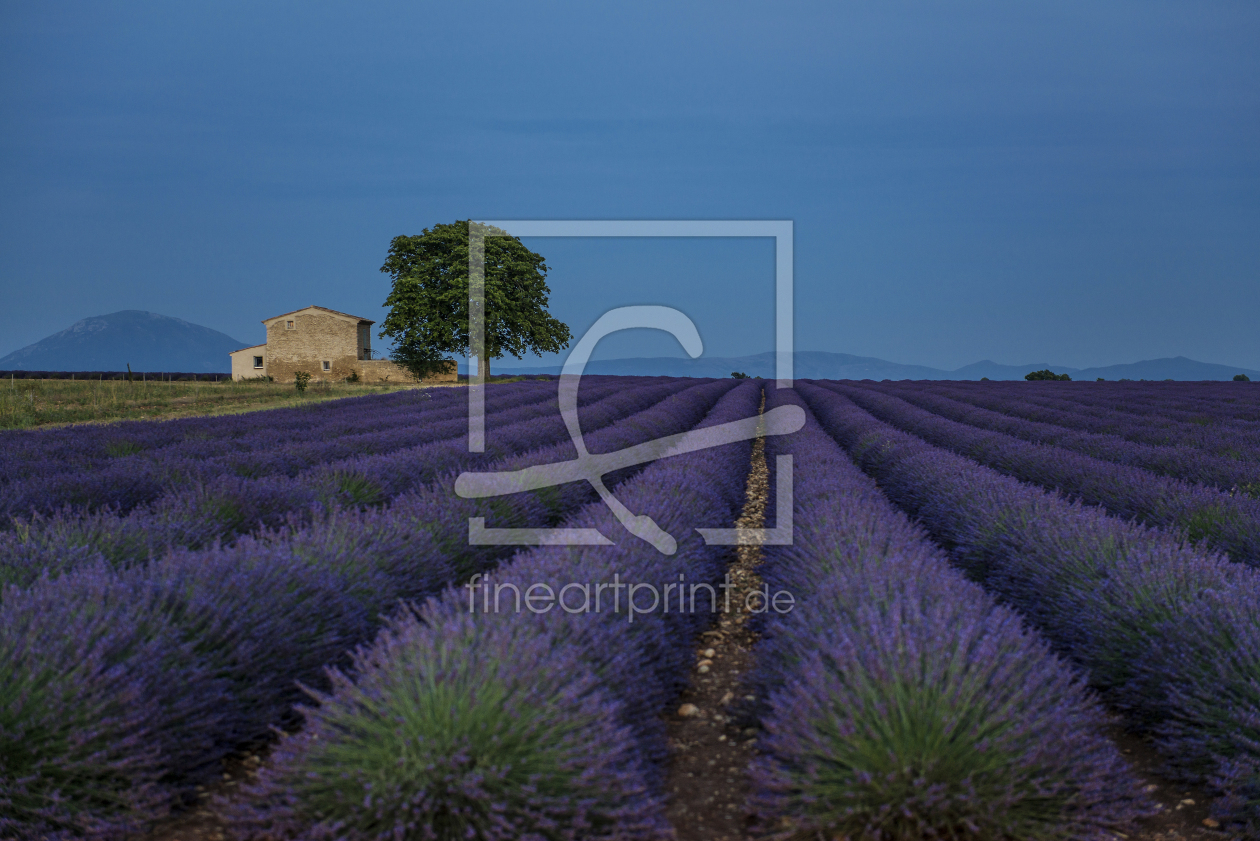 Bild-Nr.: 12944470 Provence 11 erstellt von danielschoenen