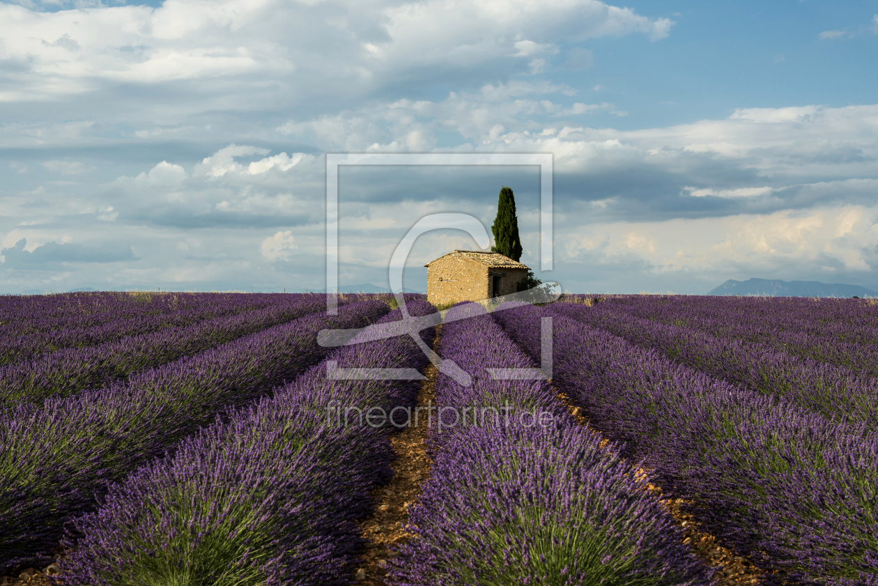 Bild-Nr.: 12945155 Provence 15 erstellt von danielschoenen