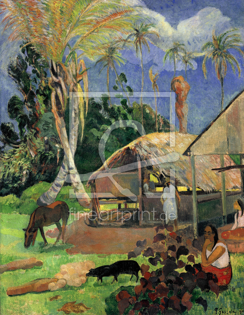 Bild-Nr.: 30000592 Paul Gauguin / The Balck Pigs / 1891 erstellt von Gauguin, Paul