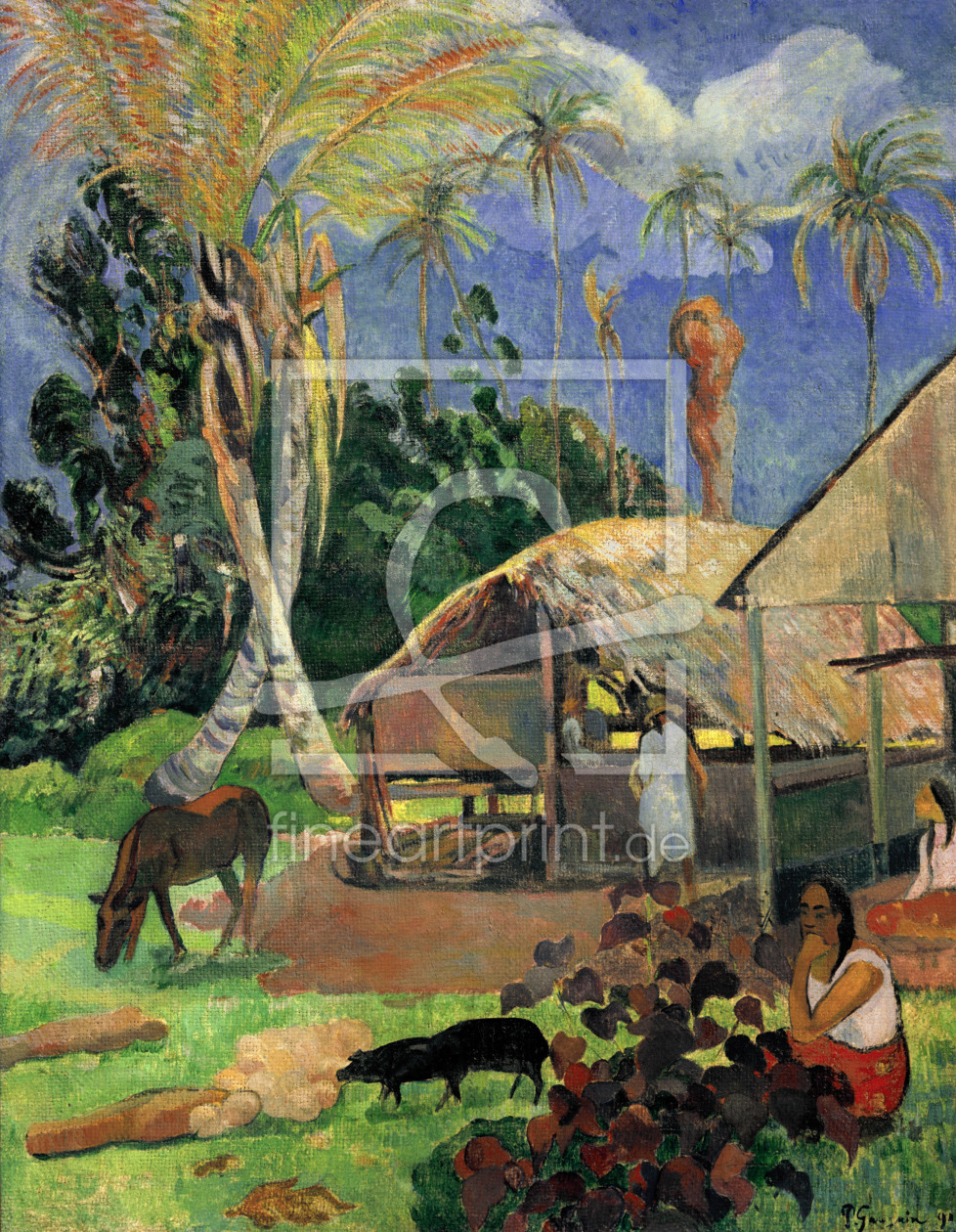 Bild-Nr.: 30000592 Paul Gauguin / The Balck Pigs / 1891 Bild-Nr.: 30000592 Paul Gauguin / The Balck Pigs / 1891 erstellt von Gauguin, Paul