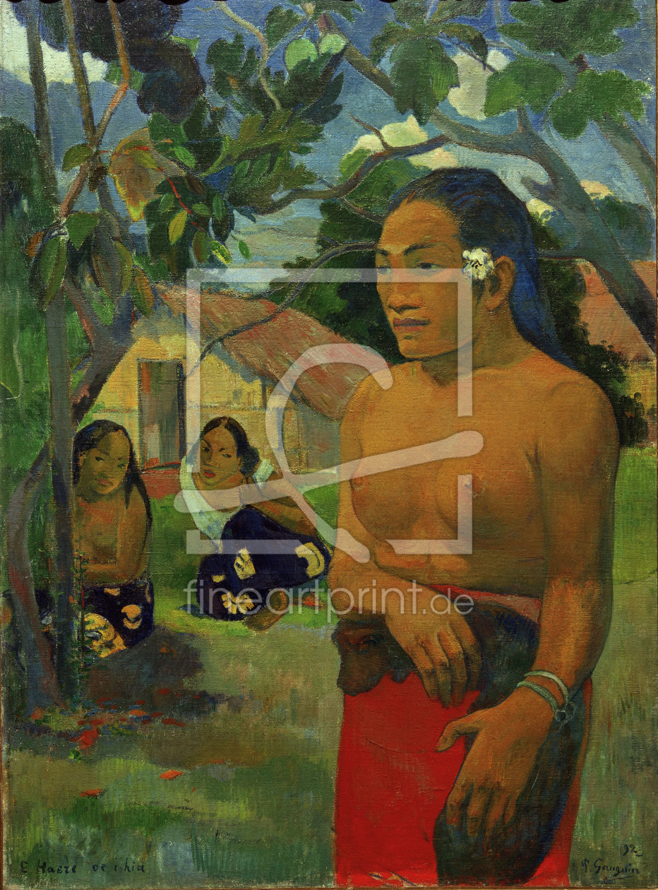 Bild-Nr.: 30000620 Gauguin, E Haere oe i hia erstellt von Gauguin, Paul