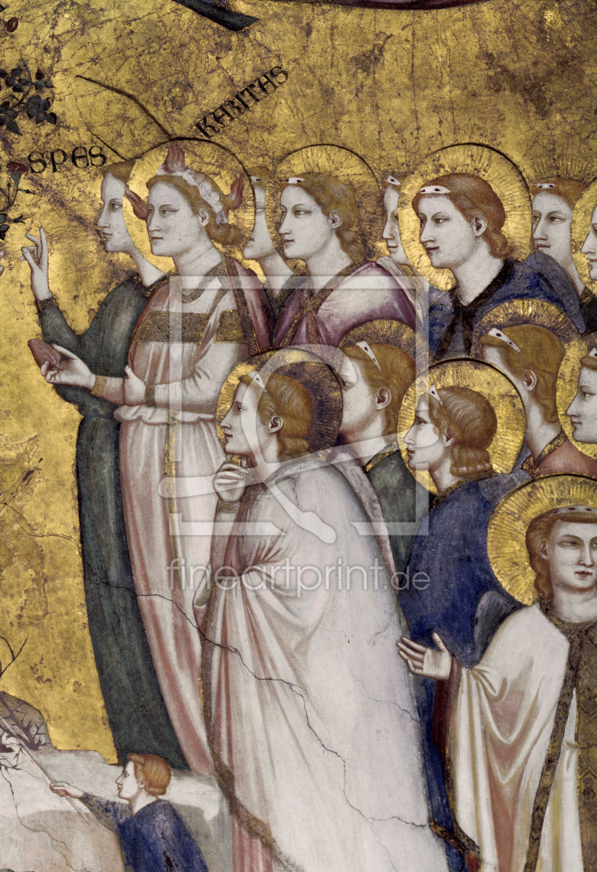 Bild-Nr.: 30001076 Giotto/ Angel and Virtues/ Fresco c.1320 erstellt von Giotto di Bondone