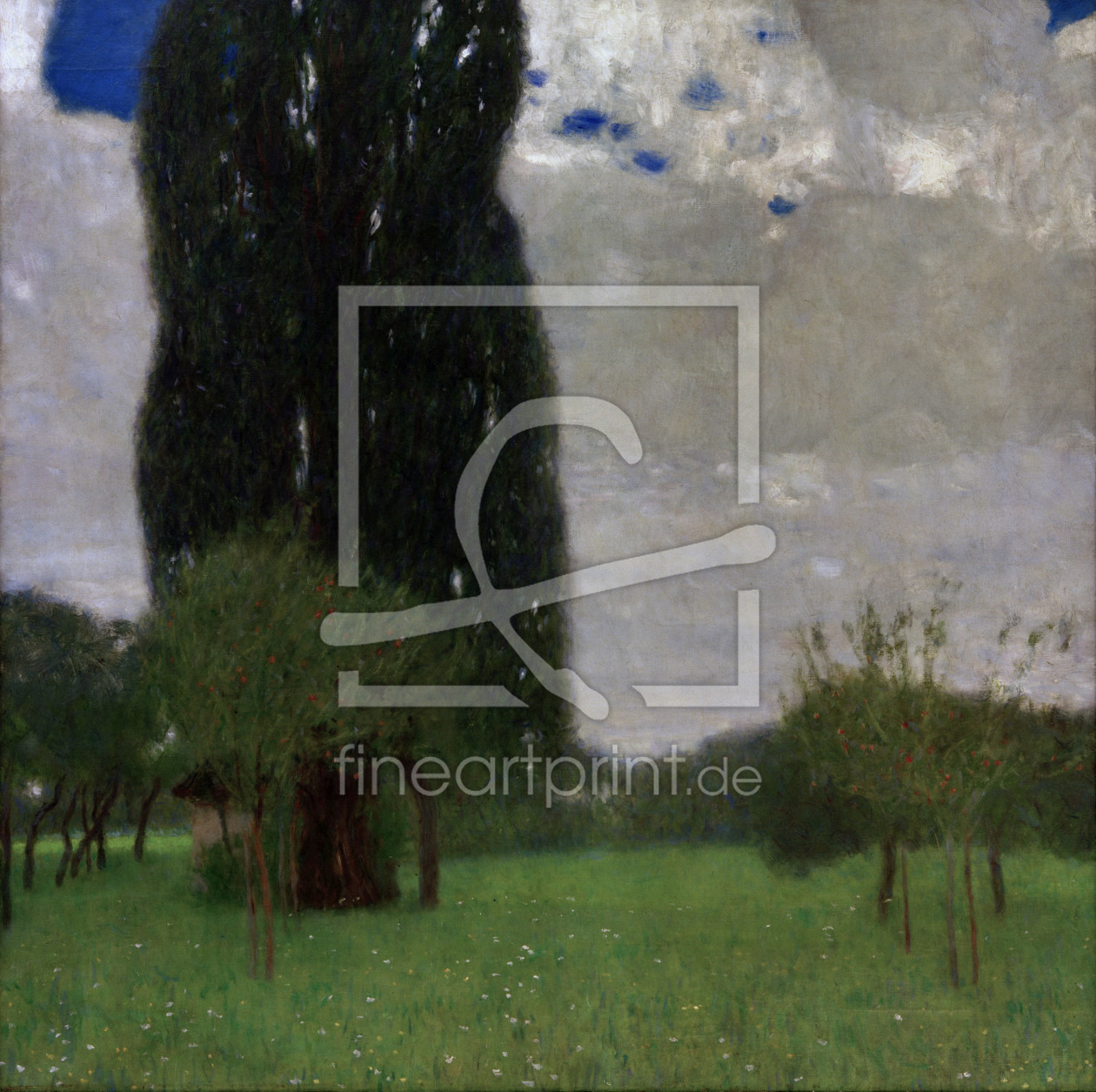 Bild-Nr.: 30001218 G.Klimt, The Great Poplar I erstellt von Klimt, Gustav