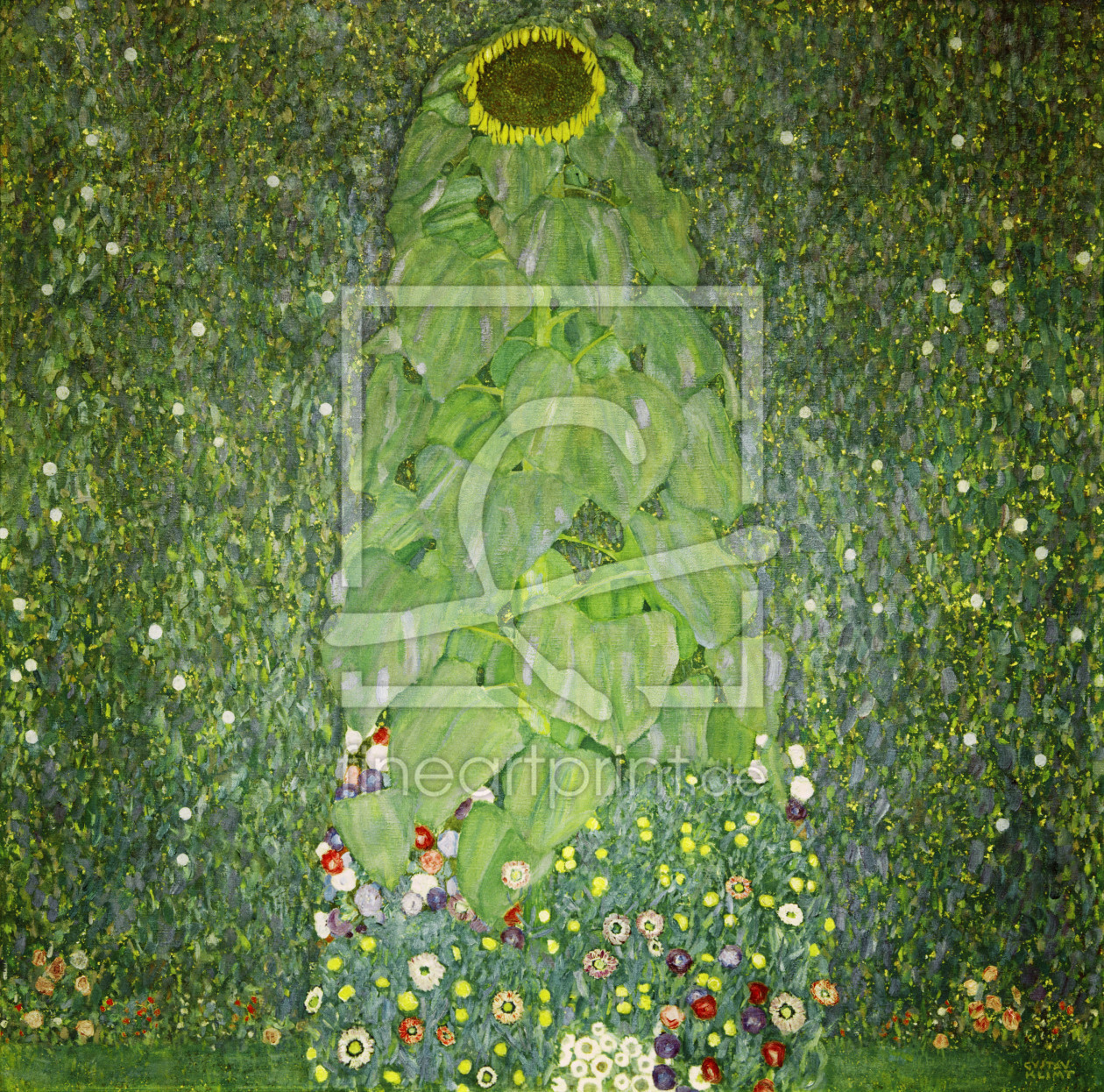 Bild-Nr.: 30001234 Gustav Klimt, Die Sonnenblume erstellt von Klimt, Gustav