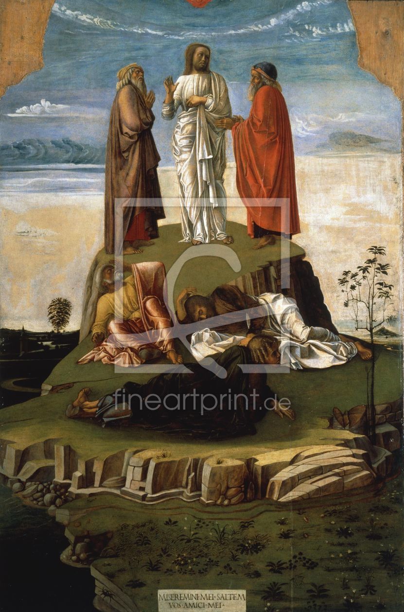 Bild-Nr.: 30001320 Giov.Bellini / Transfiguration / c.1460 erstellt von Bellini, Giovanni