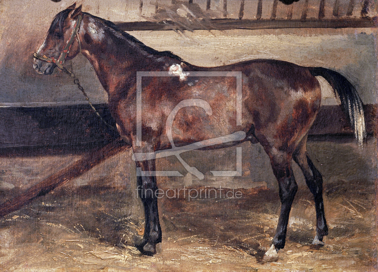 Bild-Nr.: 30001662 Géricault / Brown Horse in the Stalls erstellt von Géricault, Théodore