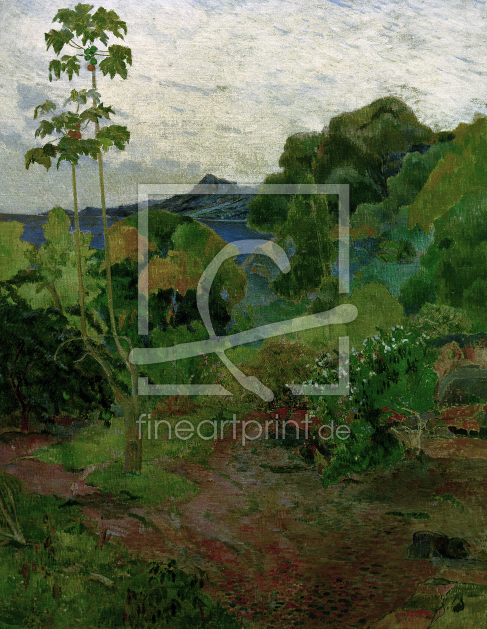 Bild-Nr.: 30001738 P.Gauguin, Tropische Landschaft erstellt von Gauguin, Paul