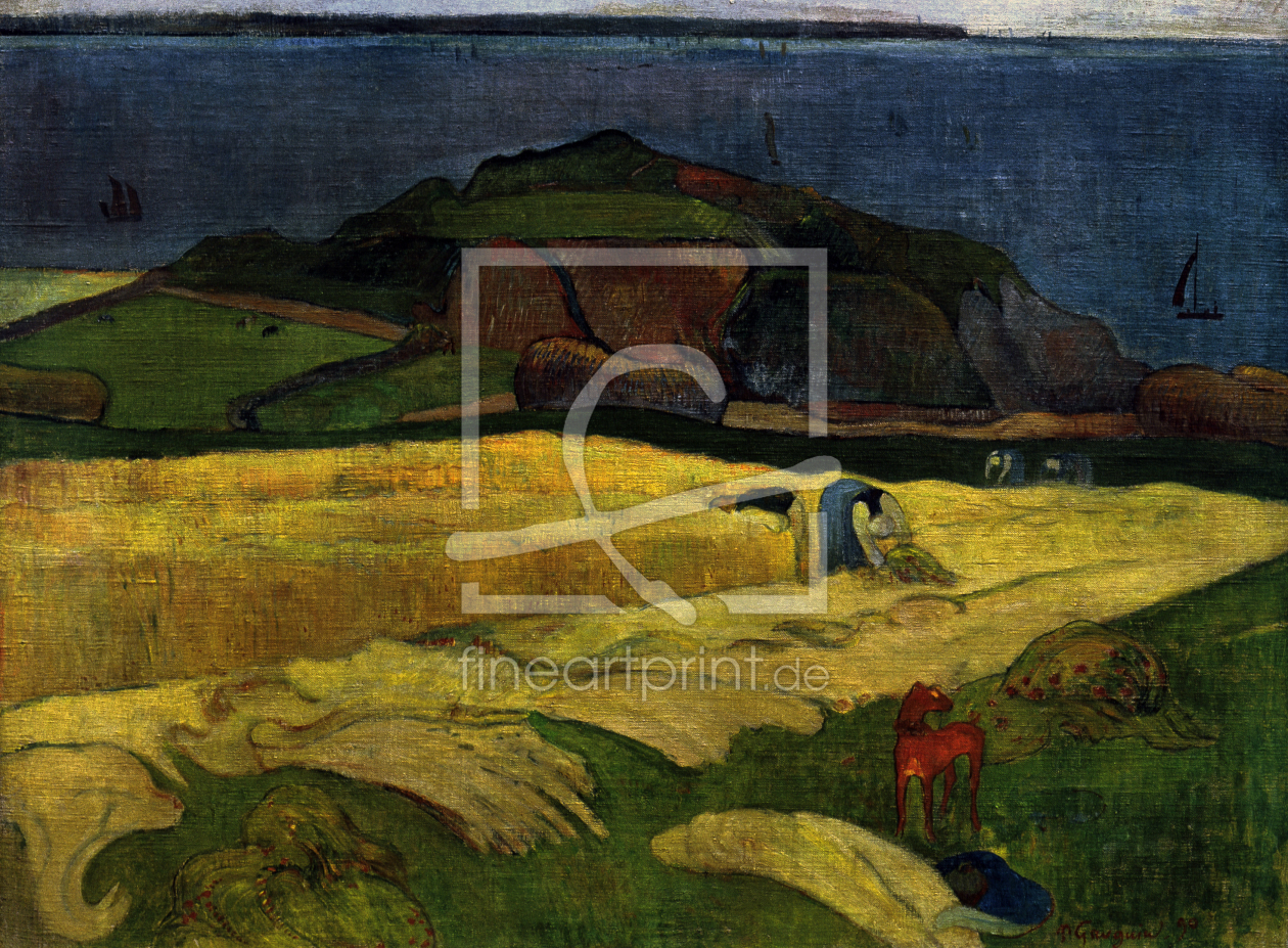 Bild-Nr.: 30001750 Gauguin, Die Ernte am Meer: Le Pouldu erstellt von Gauguin, Paul