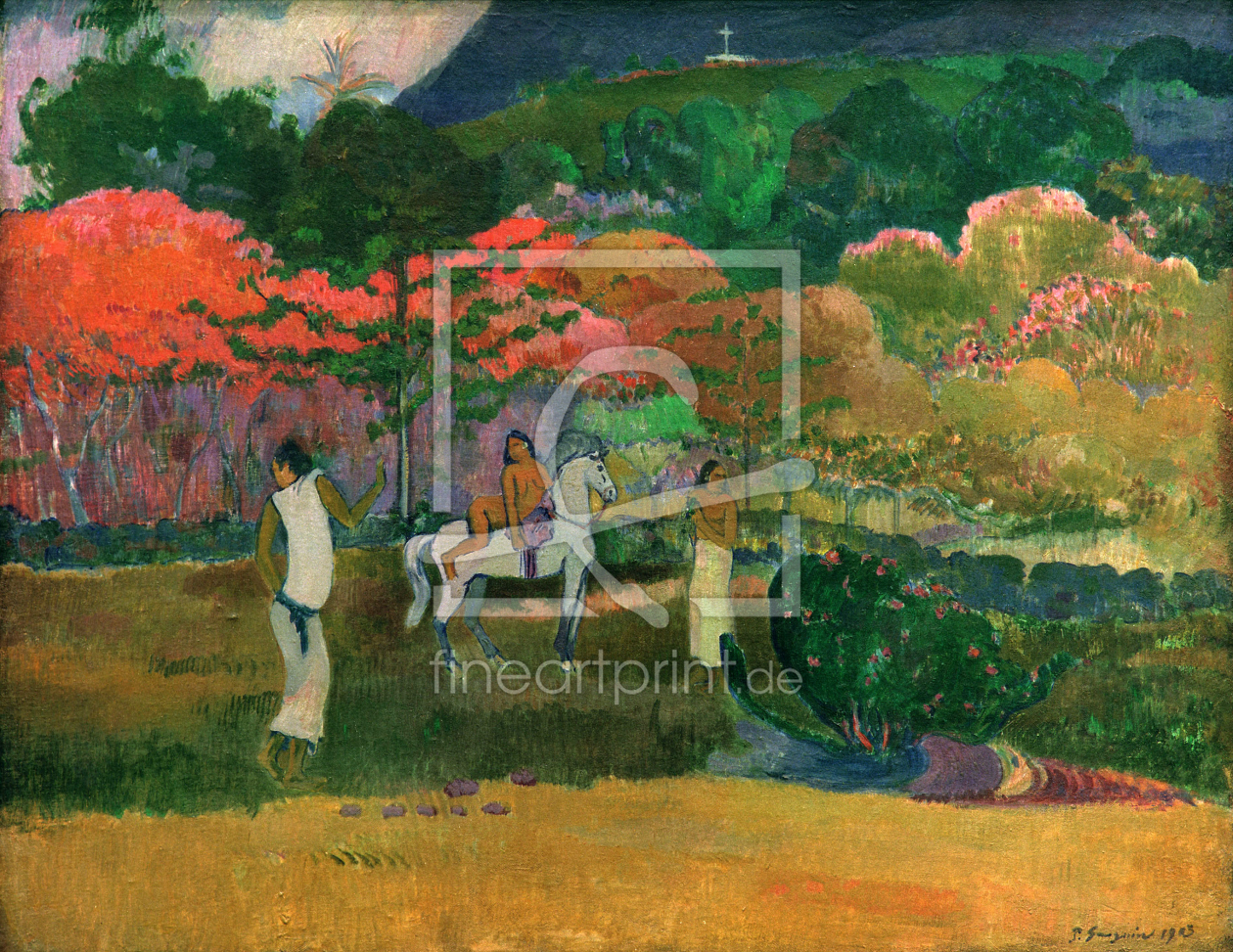 Bild-Nr.: 30001848 P. Gauguin, Frauen mit weißem Pferd erstellt von Gauguin, Paul