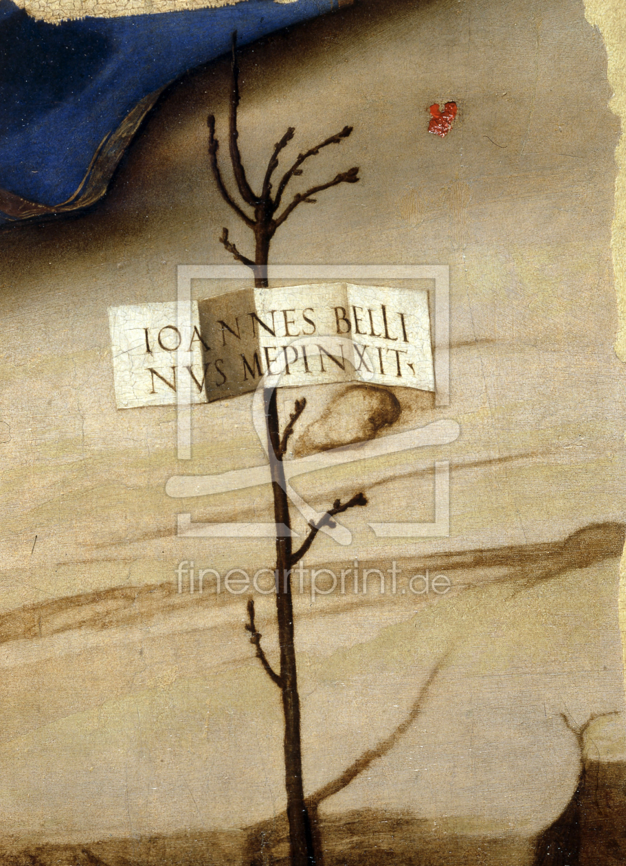 Bild-Nr.: 30001882 Giovanni Bellini / Fragment w.Signature erstellt von Bellini, Giovanni