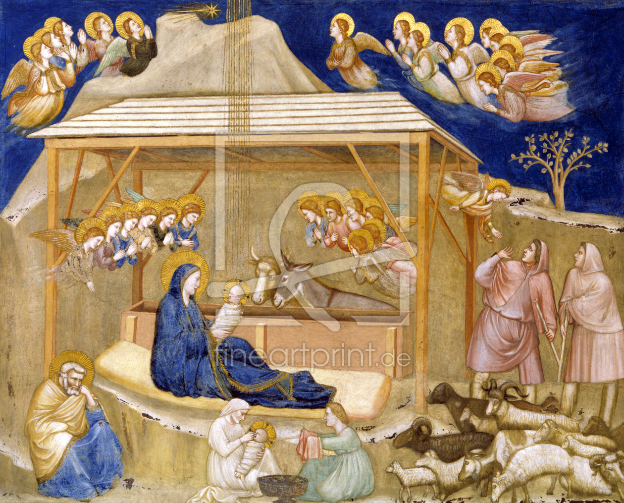 Bild-Nr.: 30001886 Birth of Christ / Fresco / c.1315/20 erstellt von Giotto di Bondone