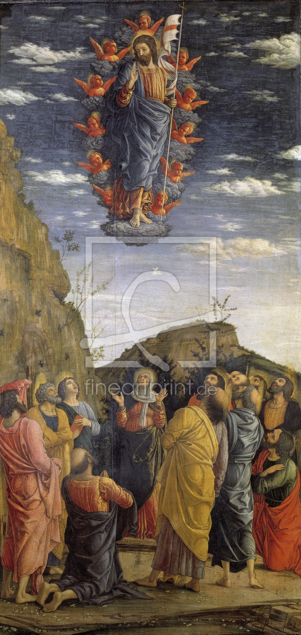 Bild-Nr.: 30002210 Ascension of Christ / Mantegna / c.1464 erstellt von Mantegna, Andrea