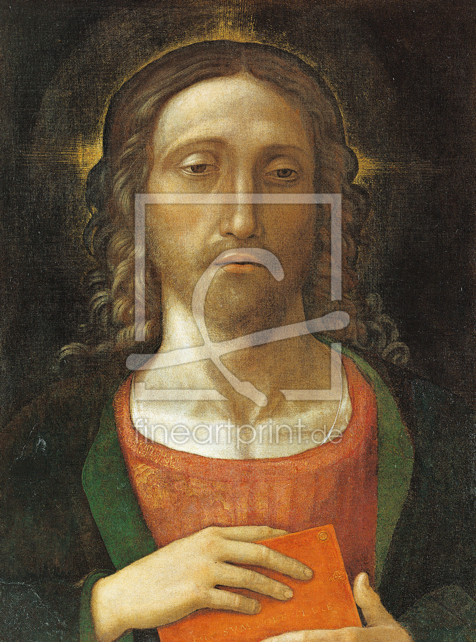 Bild-Nr.: 30002384 A.Mantegna / The Redeemer / Paint./ 1493 erstellt von Mantegna, Andrea