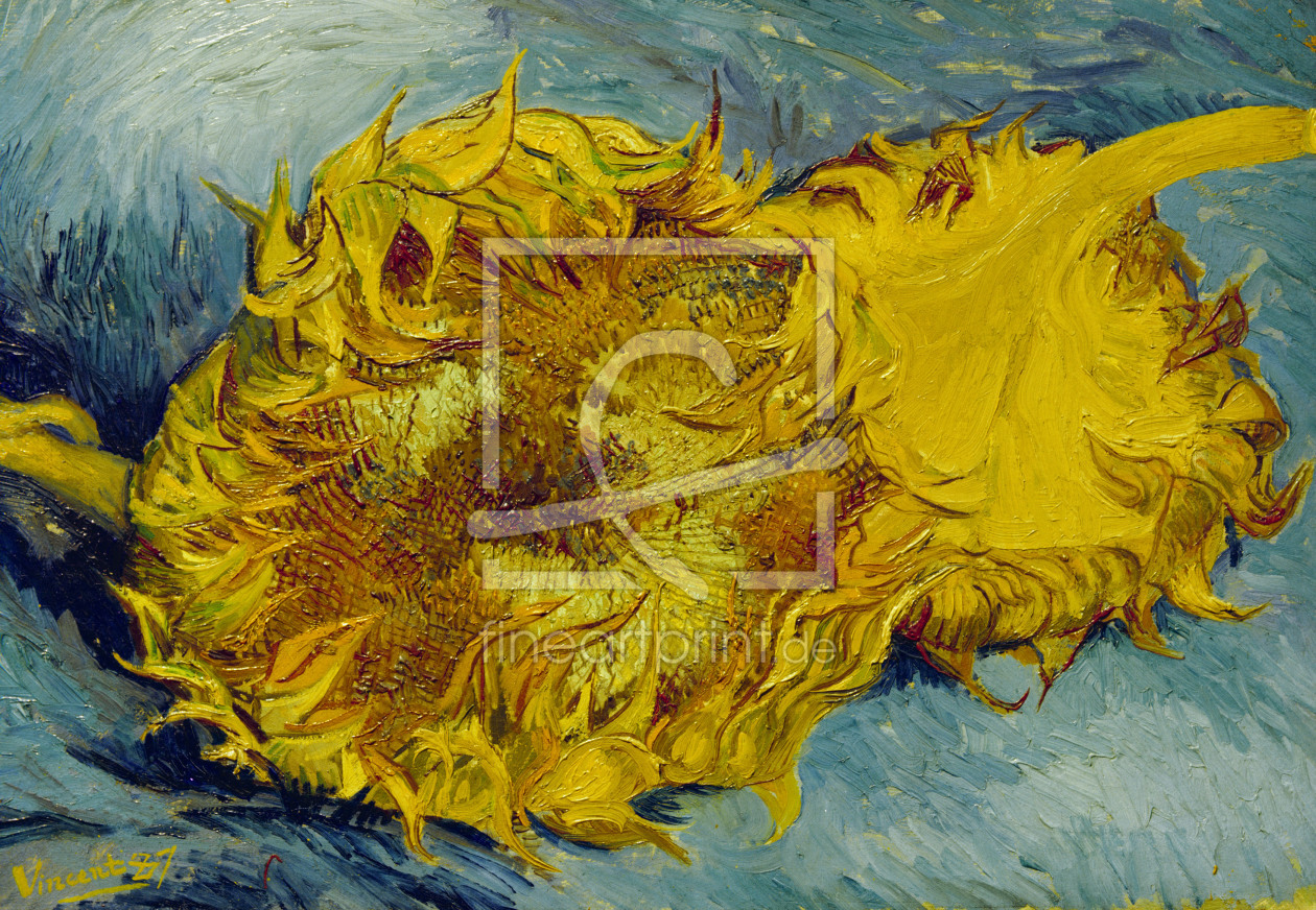 Bild-Nr.: 30002854 Van Gogh / Sunflowers / 1887 erstellt von van Gogh, Vincent