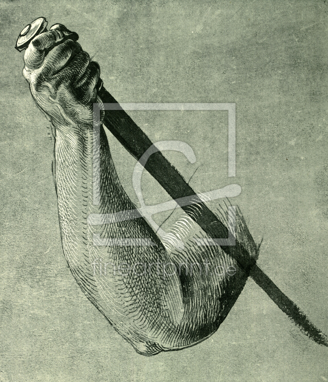 Bild-Nr.: 30002950 Study for the arm of Lucretia / Dürer Bild-Nr.: 30002950 Study for the arm of Lucretia / Dürer erstellt von Dürer, Albrecht