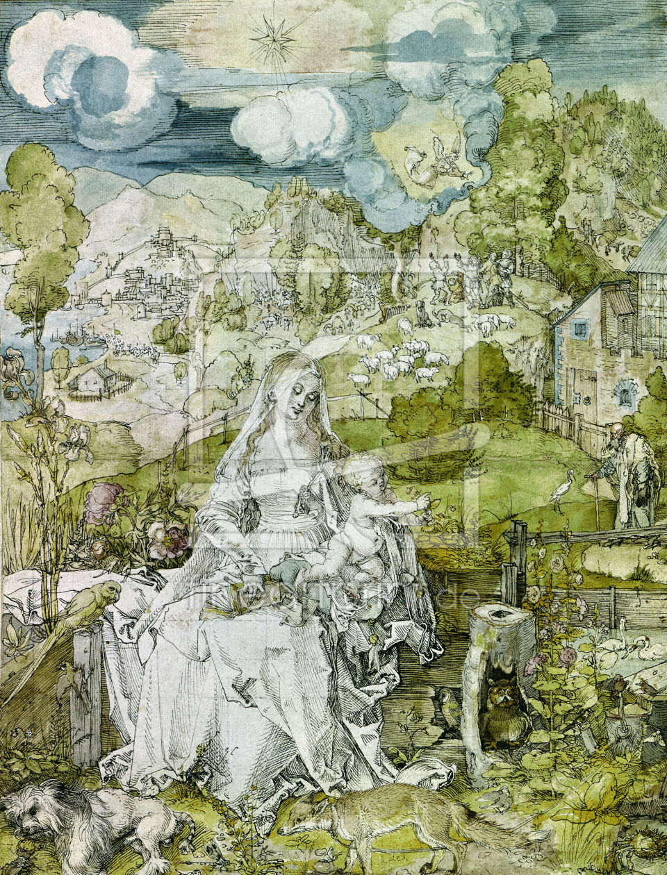 Bild-Nr.: 30002964 Mary with Animals / Duerer / c.1520 erstellt von Dürer, Albrecht