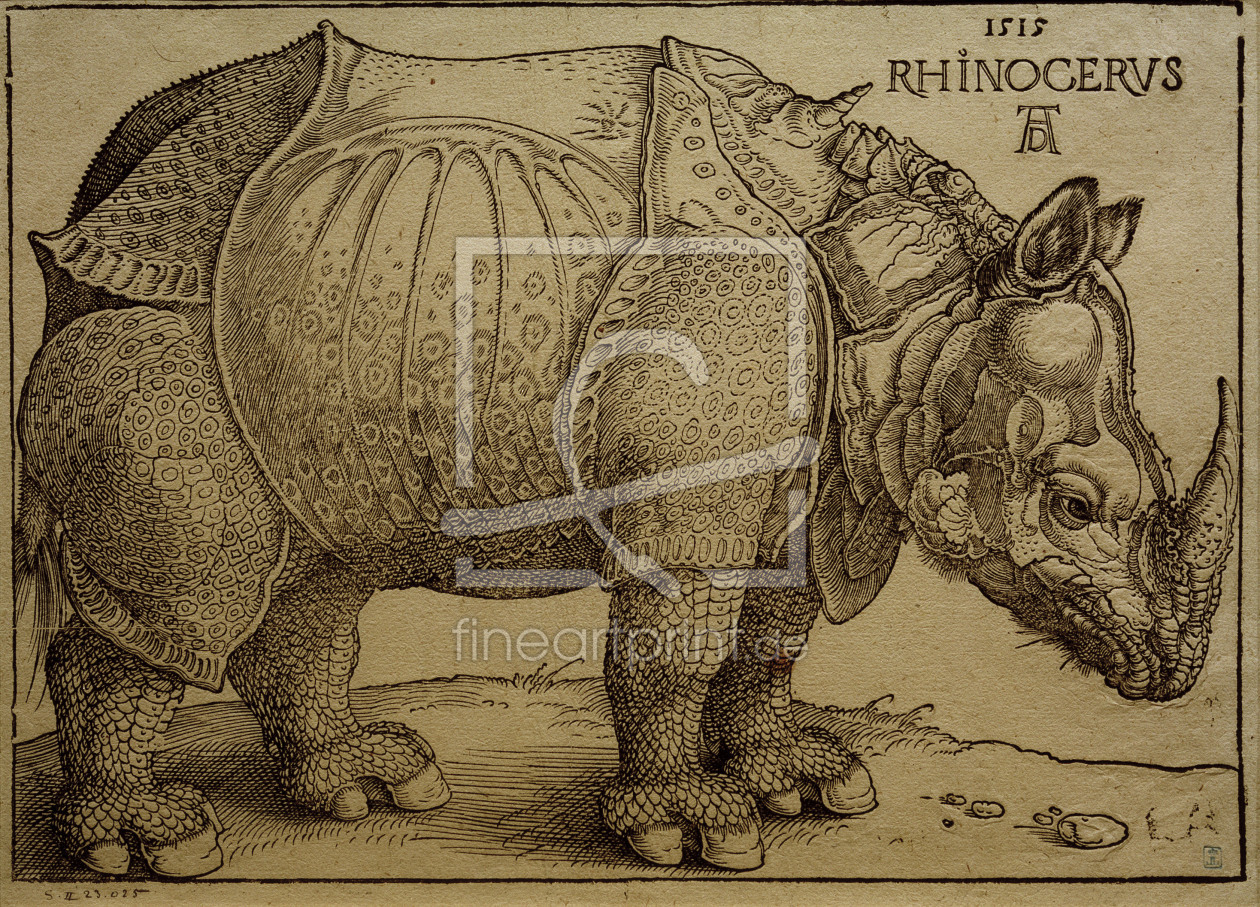 Bild-Nr.: 30002992 A.Dürer, Rhinoceros / Woodcut / 1515 erstellt von Dürer, Albrecht