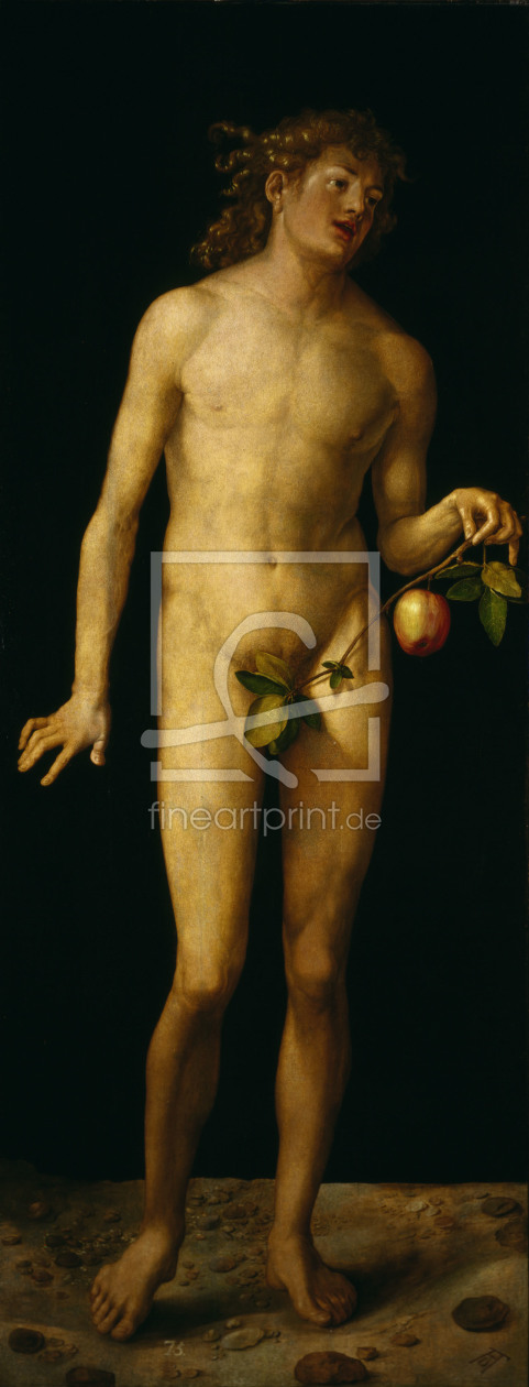 Bild-Nr.: 30003010 Adam / Painting by Duerer / 1507 erstellt von Dürer, Albrecht