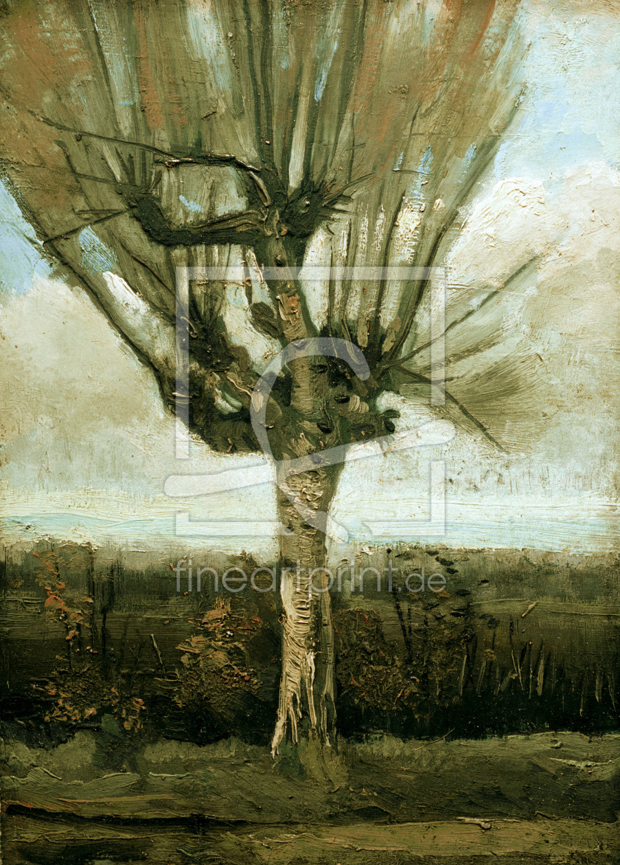 Bild-Nr.: 30003050 v.Gogh / Common white willow / 1884/85 Bild-Nr.: 30003050 v.Gogh / Common white willow / 1884/85 erstellt von van Gogh, Vincent